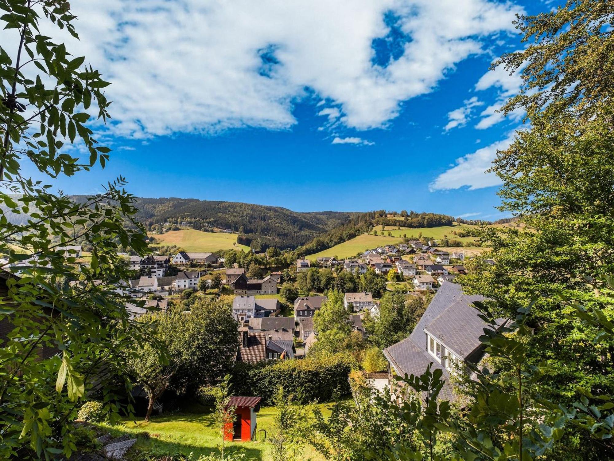 Modern Apartment In Schwalefeld With Garden Willingen  Luaran gambar