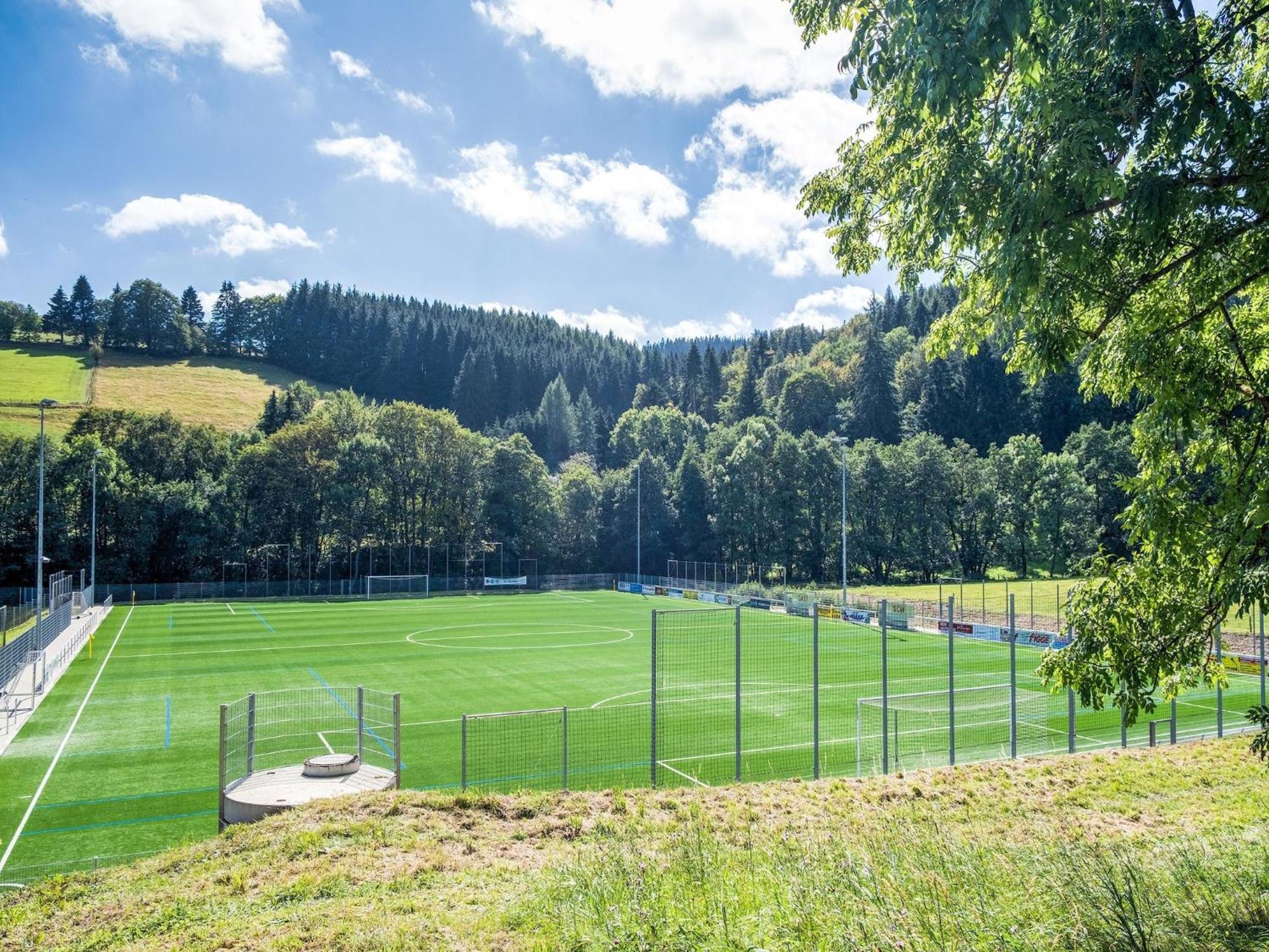 Modern Apartment In Schwalefeld With Garden Willingen  Luaran gambar